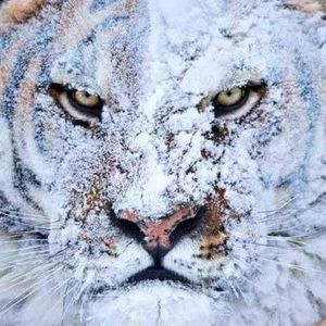 Meet your Posher, Juan